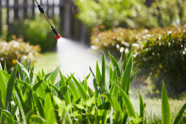 24/7 Emergency Mosquito Control experts in Riverview, SC